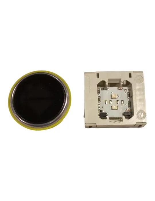 BWSGF84MR.MK DPF VOYANT DMG BW - BLS ROUGE FLÊCHE DOUBLE