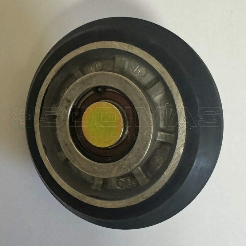 Roller compatible type RG100 - Ø 100 * 27 mm