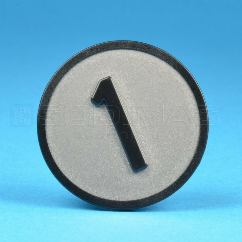 Pastille KSS gravée 1