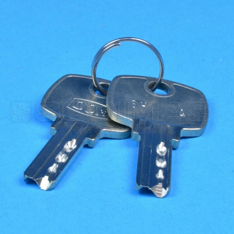 Clé SH4 (jeu de 2)