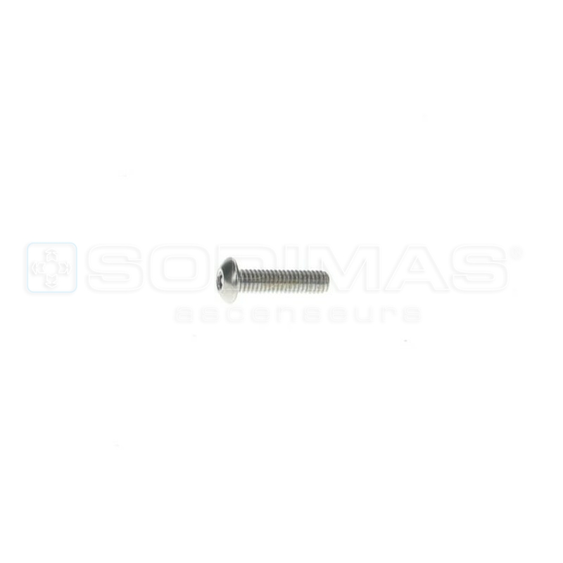 Vis antivandale M4 *16 OTIS 2000