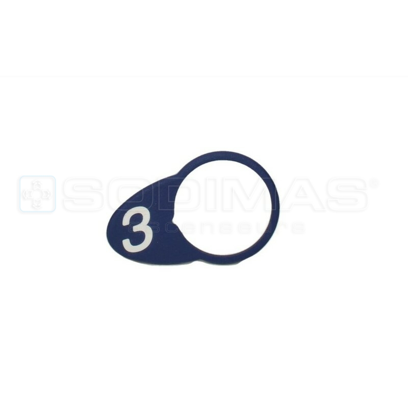 Chicklet ovale bleue gravé 3