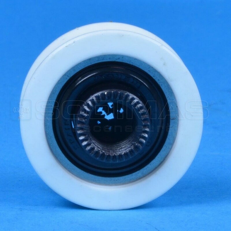 Contre-galet - compatible nouveau modèle PROTECTA 3