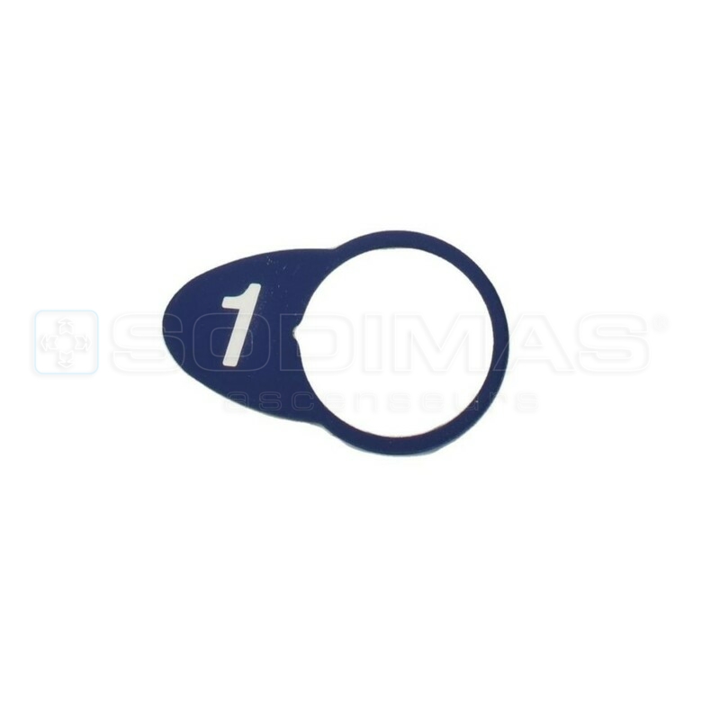 Chicklet ovale bleue gravé 1