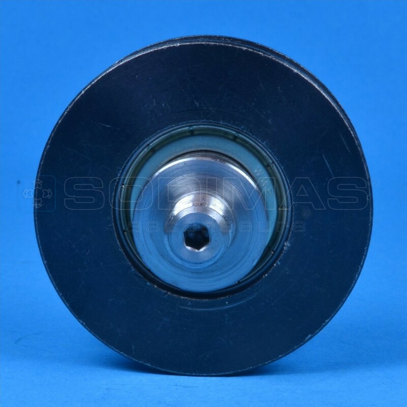 Galet 62/18 - compatible cabine/palière porte modèle 80