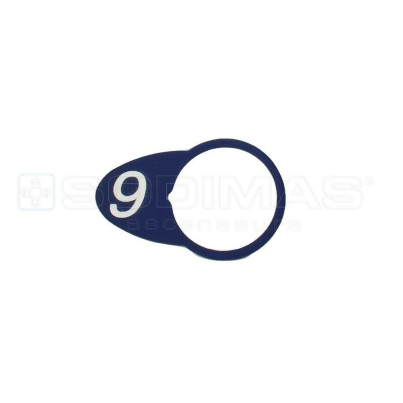 Chicklet ovale bleue gravé 9