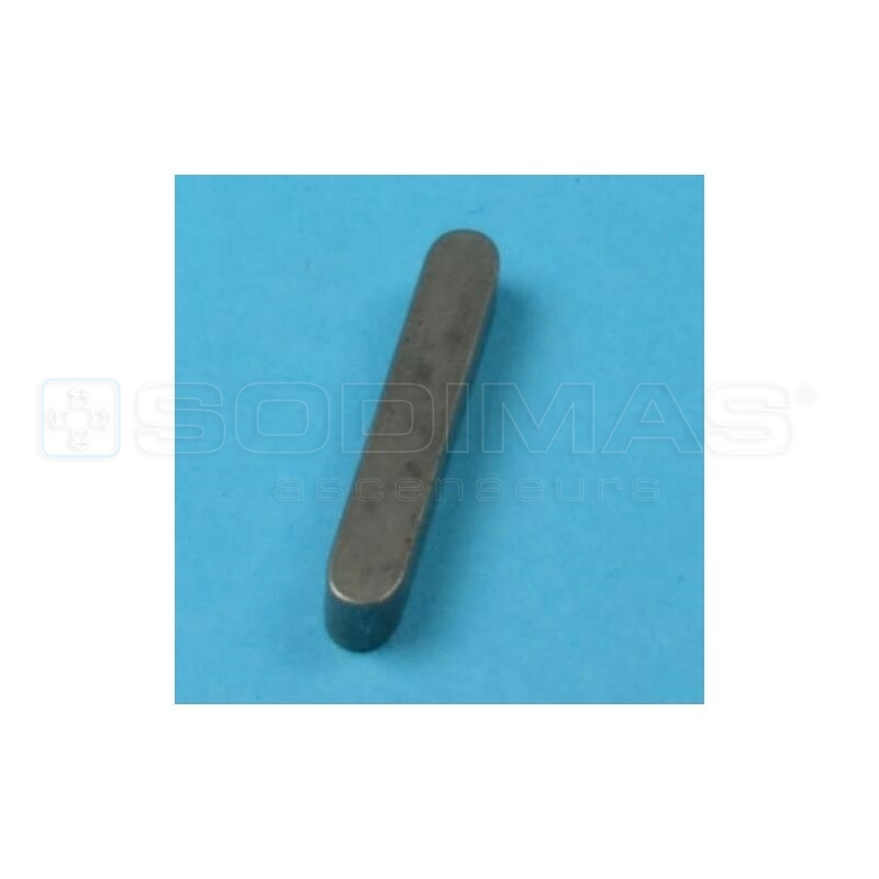 Clavette pignon moteur Protecta 3 Porte Compact