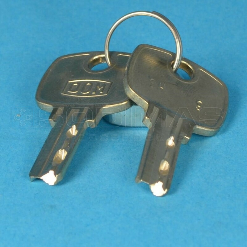 Clé SH9 (jeu de 2)