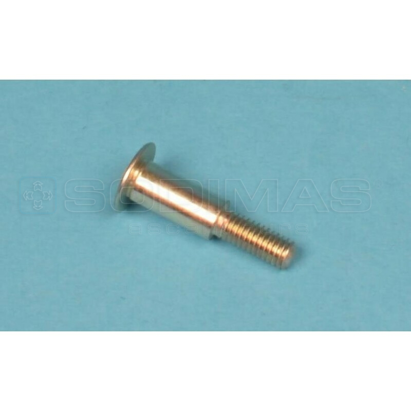 Axe pour cliquet de sabre D2200
