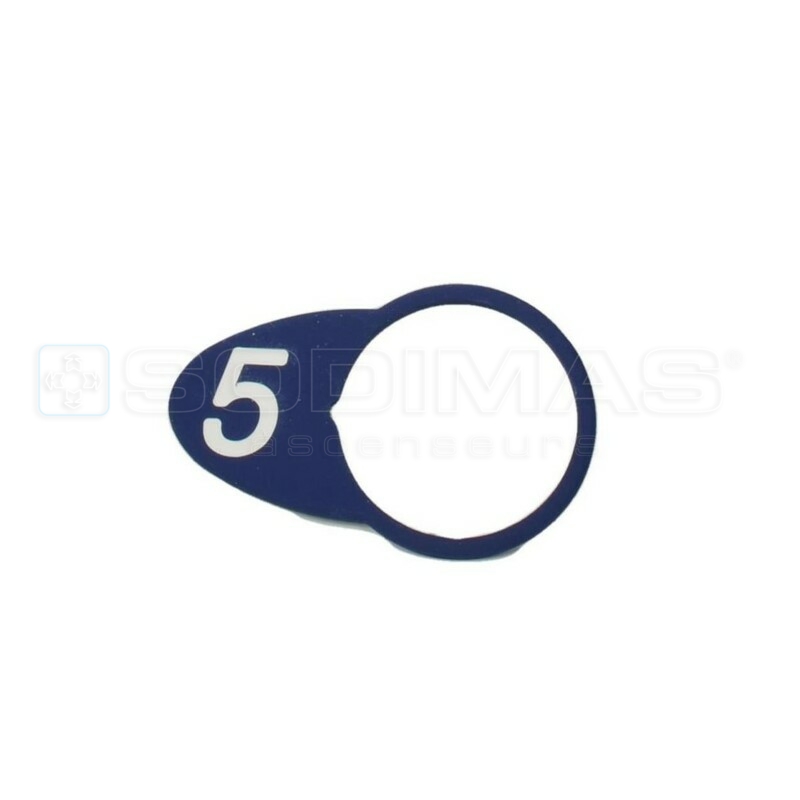 Chicklet ovale bleue gravé 5