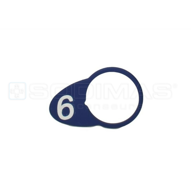 Chicklet ovale bleue gravé 6
