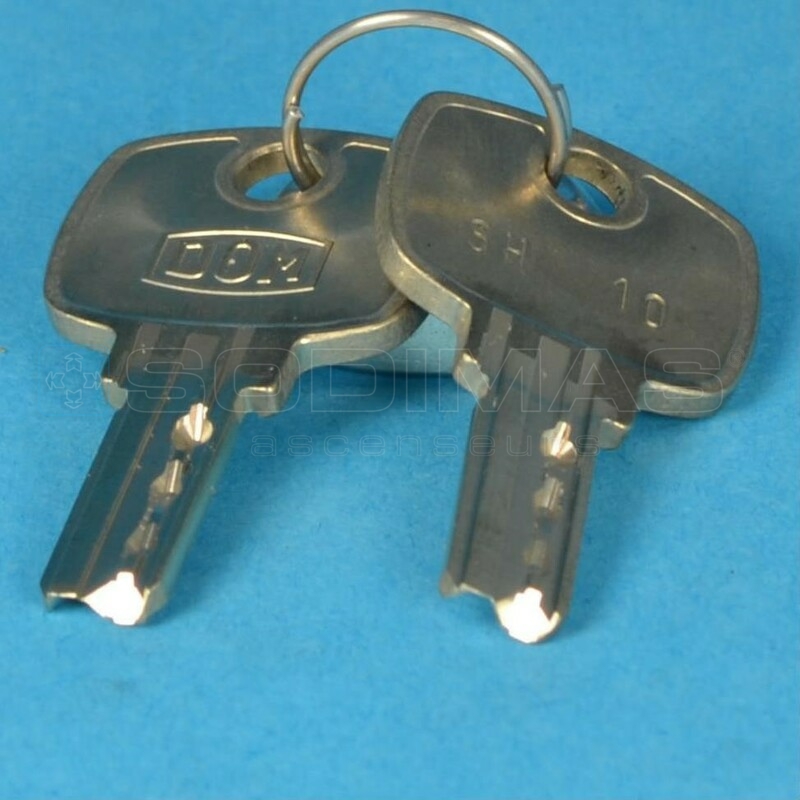 Clé SH10 (jeu de 2)