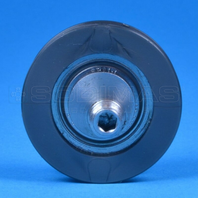 Galet 38 / 30 x 14 - - compatible PROTECTA 3 - Ancien modele