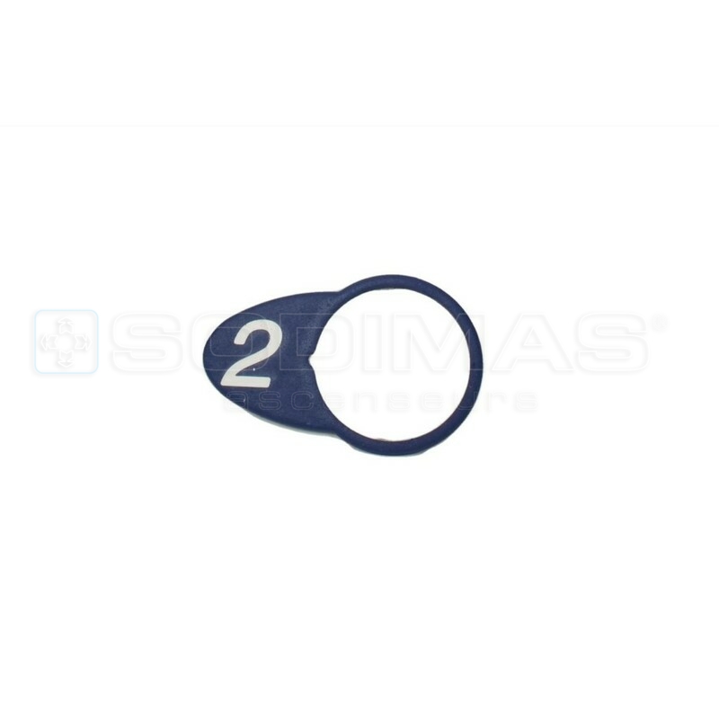 Chicklet ovale bleue gravé 2
