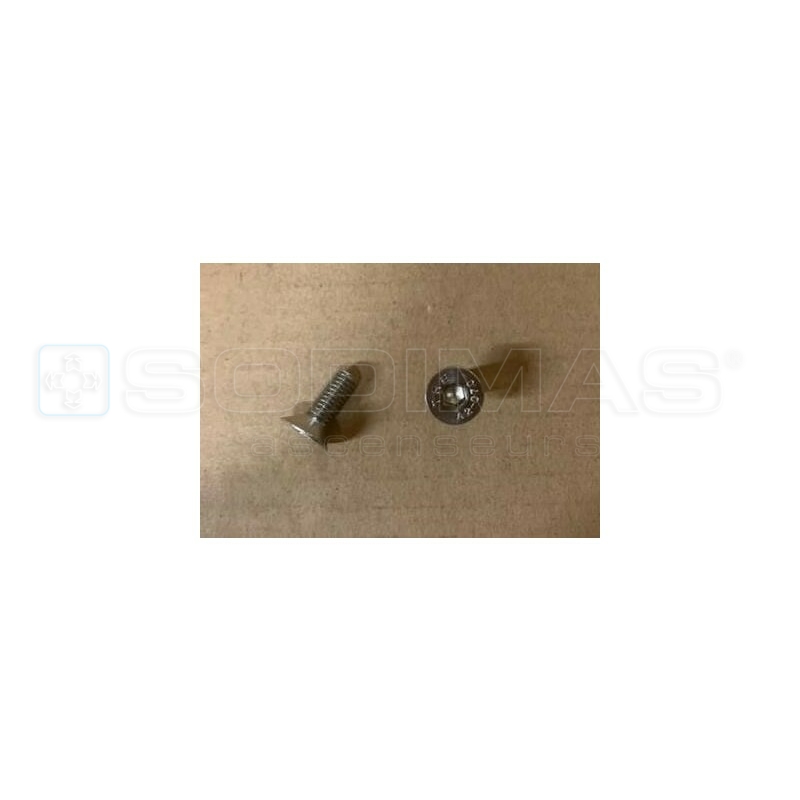 Boite de 200 vis inox pour peignes escalator 506NCE -510