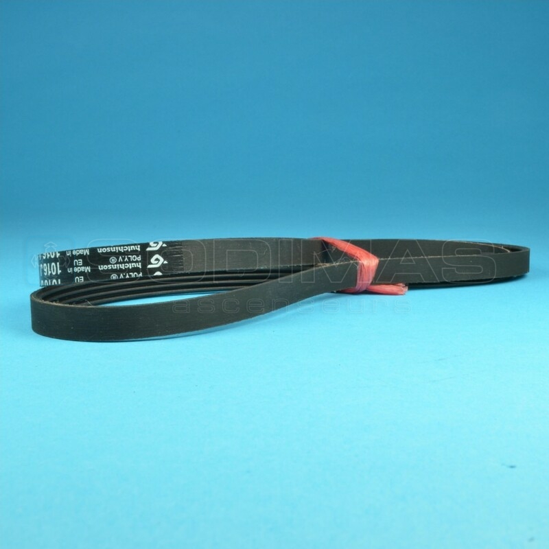Courroie opérateur QKS8 1016J 4 dents - compatible