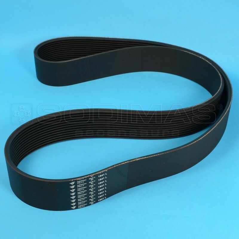 Courroie poly-v -L- 1841 mm 12 dents (11 sillons) -- compatible pour 9300/9500/9700/SW/SWE/SDS/STS/EWE/RSE...