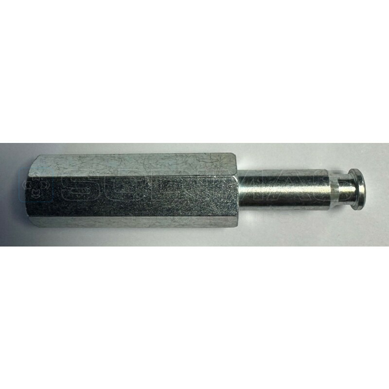 Axe patin porte GAIA