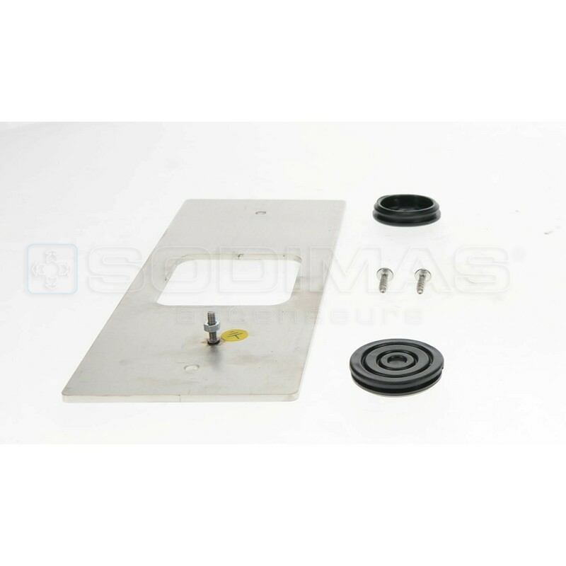 Plastron inox pèse-charge 200x80 écran 54x54