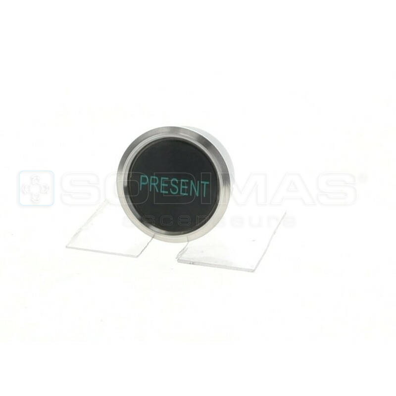 Bouton IP65 V2 noir brossé présent