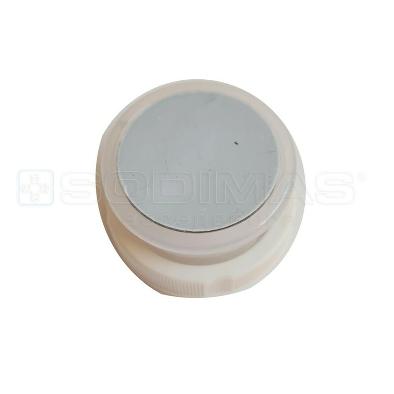Cache Cyntra vierge