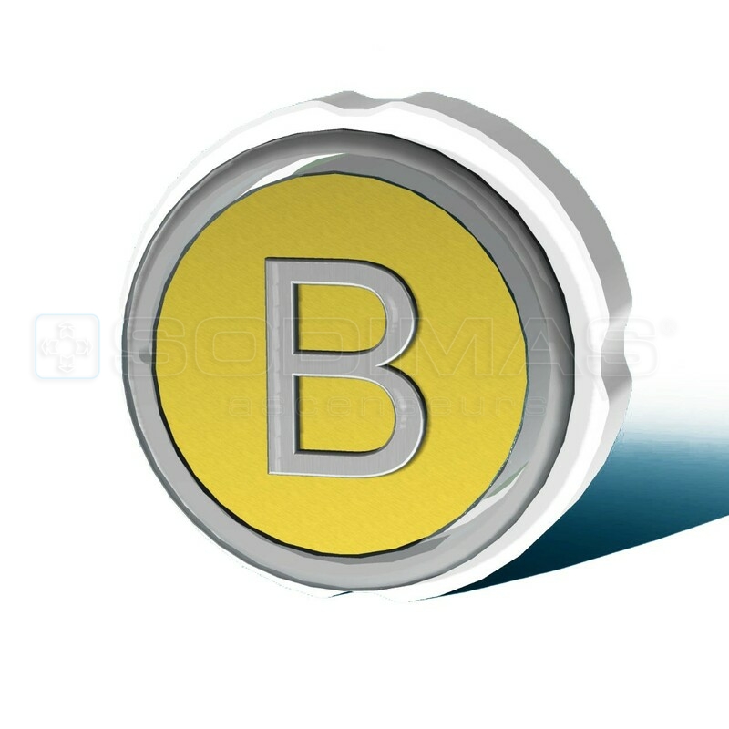 Bouton Cyntra "B" or brossé
