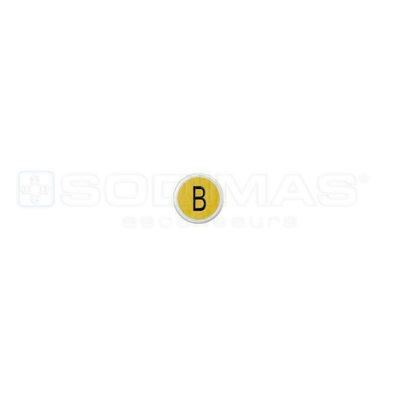Bouton Cyntra V2 or brossé B