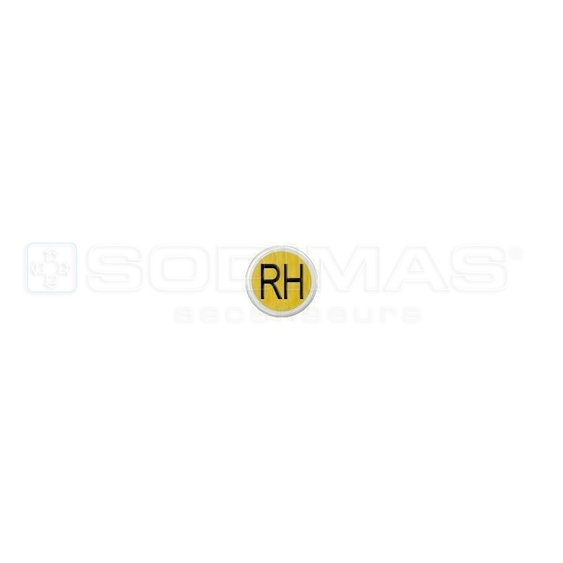 Bouton Cyntra V2 or brossé RH