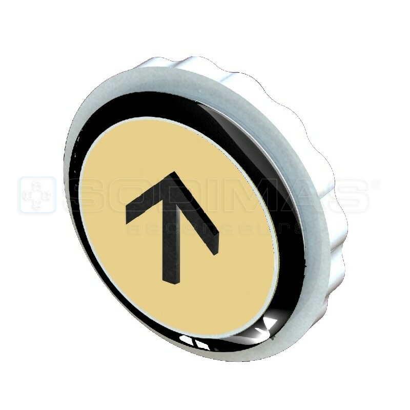 Bouton Slyma V2 or brossé flèche monté