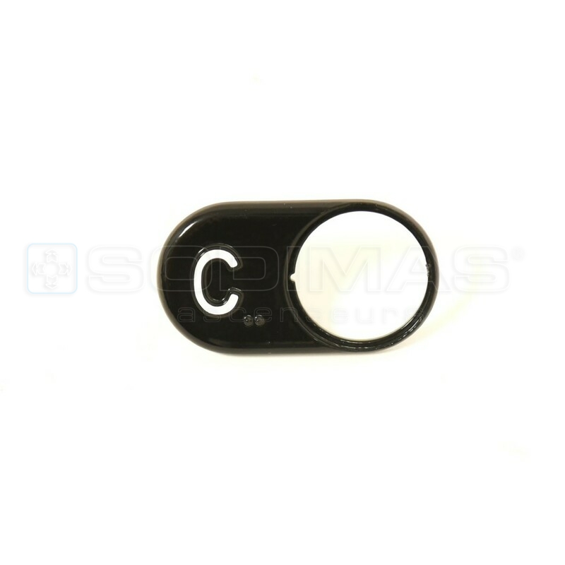 Collerette Evolya C avec Braille