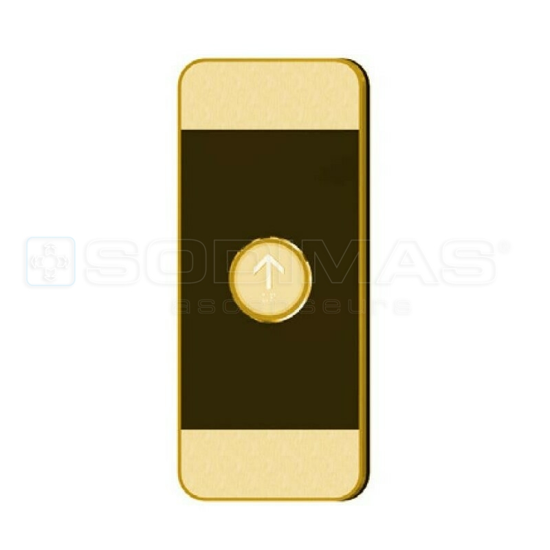 Boite palière Black Pad gold 1 bouton flèche monté duplex