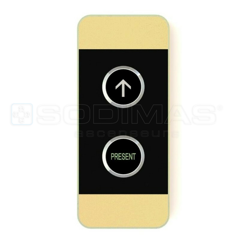 blackpad or brossé 1 bouton montée + 1 voyant présent