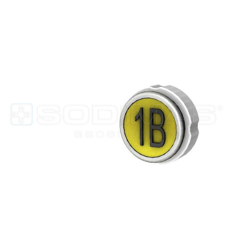Bouton Cyntra V2 or brossé 1B