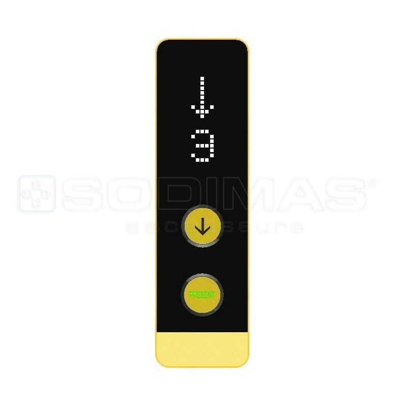 blackpad or brossé 1 bouton desc + 1 voyant présent + afficheur