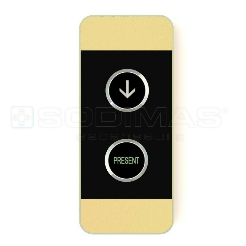 blackpad or brossé 1 bouton descente + 1 voyant présent