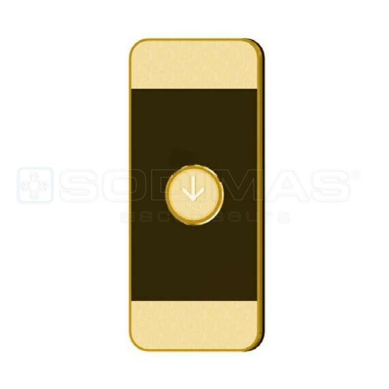 Boite palière Black Pad gold 1 bouton flèche descente duplex