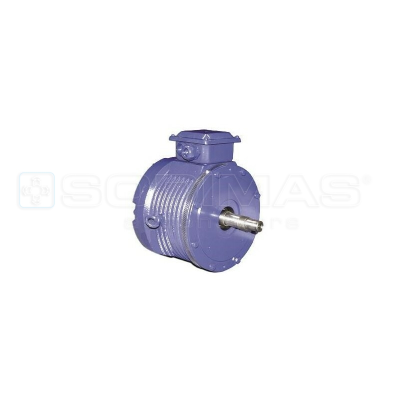 Moteur Synchrone TS200T V1