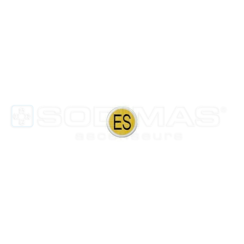 Bouton Cyntra V2 or brossé ES